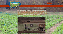Desktop Screenshot of forestcenterherbs.com